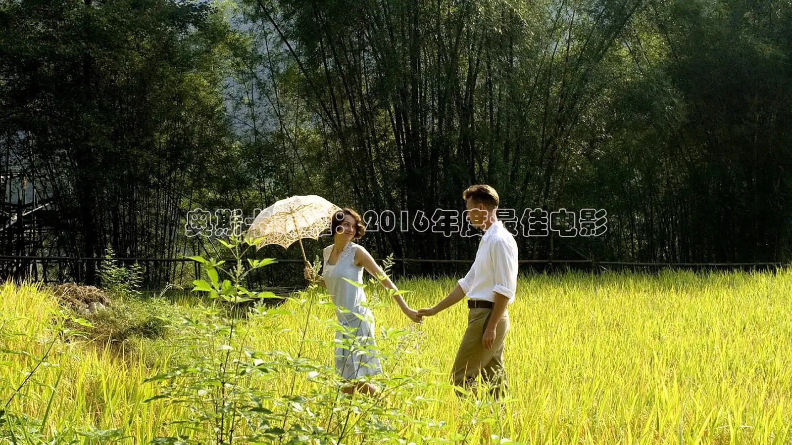 奥斯卡荣耀：2016年度最佳电影